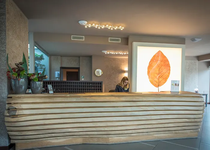 Aqualux Hotel Spa Suite & Terme Bardolino